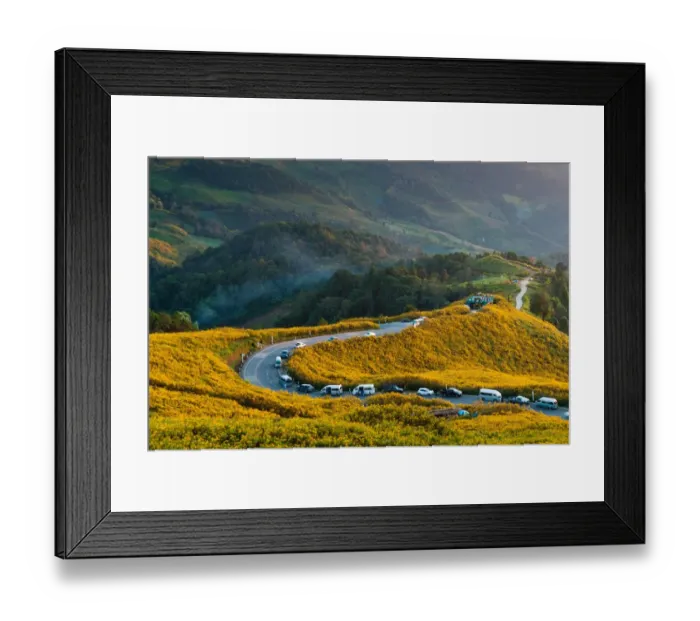 Framed Print : Mexican sunflower field at Doi Mae U-Kho Framed Print : Mexican sunflower field at Doi Mae U-Kho