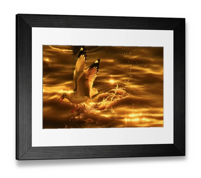 Framed Print : A seagull in golden tone Framed Print : A seagull in golden tone