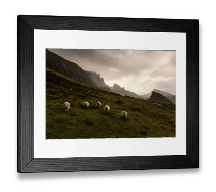 Framed Print : Five sheeps at Quiraing walk in the cloudy day Framed Print : Five sheeps at Quiraing walk in the cloudy day