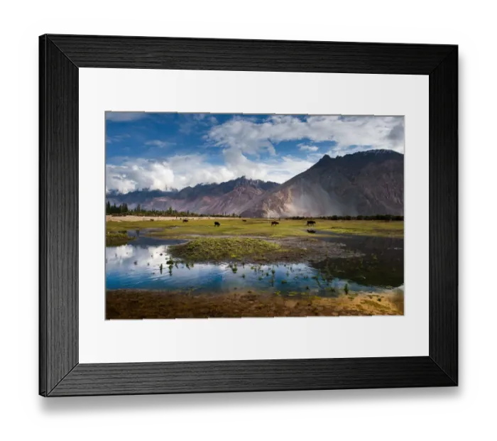 Framed Print : Nubra Valley Framed Print : Nubra Valley