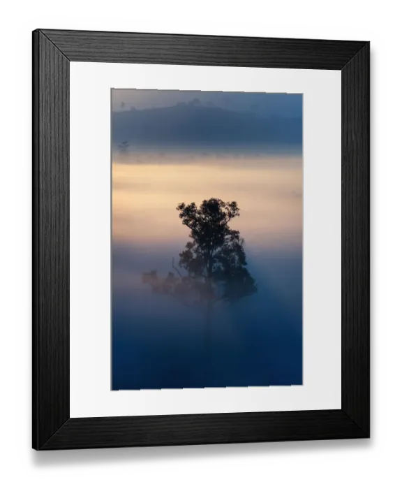 Framed Print : Alone in the fog, Tung Salang Luang National Park Framed Print : Alone in the fog, Tung Salang Luang National Park