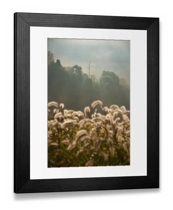Framed Print : Landscape of Doi Ang Khang, Chiangmai, Thailand Framed Print : Landscape of Doi Ang Khang, Chiangmai, Thailand
