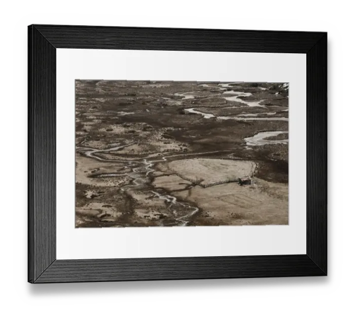 Framed Print : Chopta Valley Framed Print : Chopta Valley