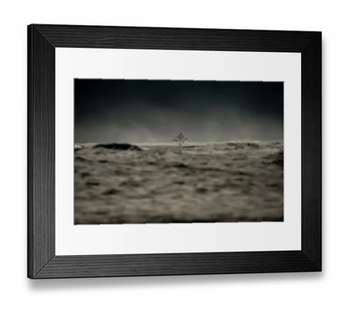 Framed Print : A dead tree on the sand dune, MT. Bromo, Indonesia Framed Print : A dead tree on the sand dune, MT. Bromo, Indonesia