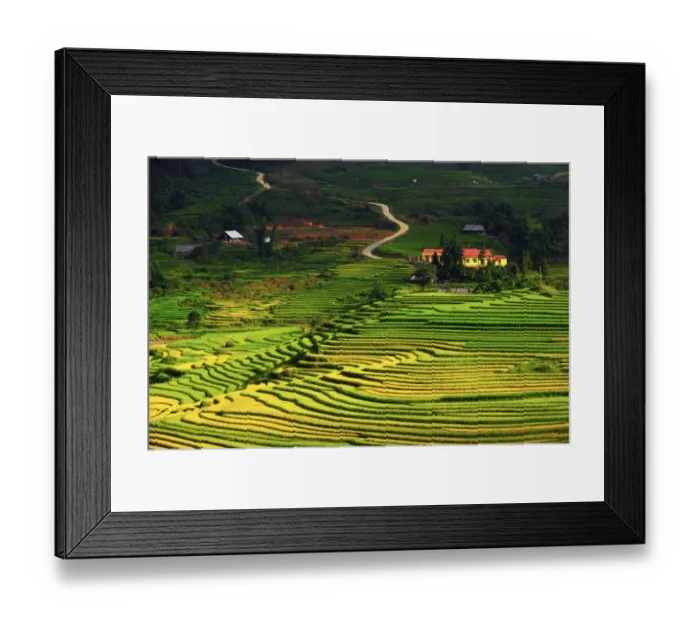 Framed Print : Sapa rice terrace, Vietnam Framed Print : Sapa rice terrace, Vietnam