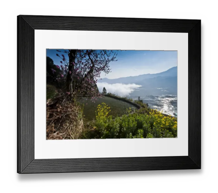 Framed Print : Yuanyang rice terrace, Yunnan, China Framed Print : Yuanyang rice terrace, Yunnan, China