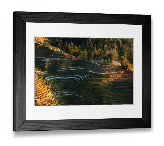 Framed Print : Yuanyang rice terrace, Yunnan, China Framed Print : Yuanyang rice terrace, Yunnan, China