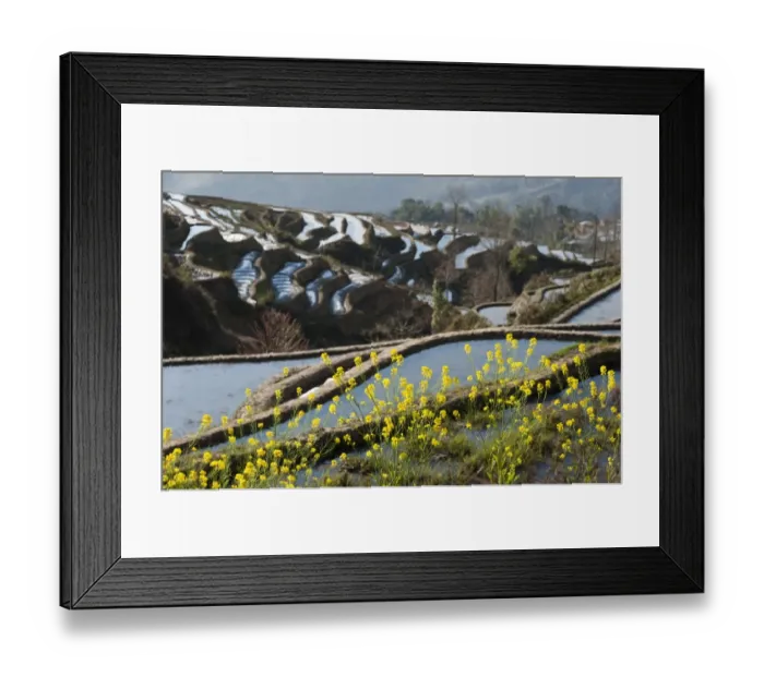 Framed Print : Yuanyang rice terrace, Yunnan, China Framed Print : Yuanyang rice terrace, Yunnan, China