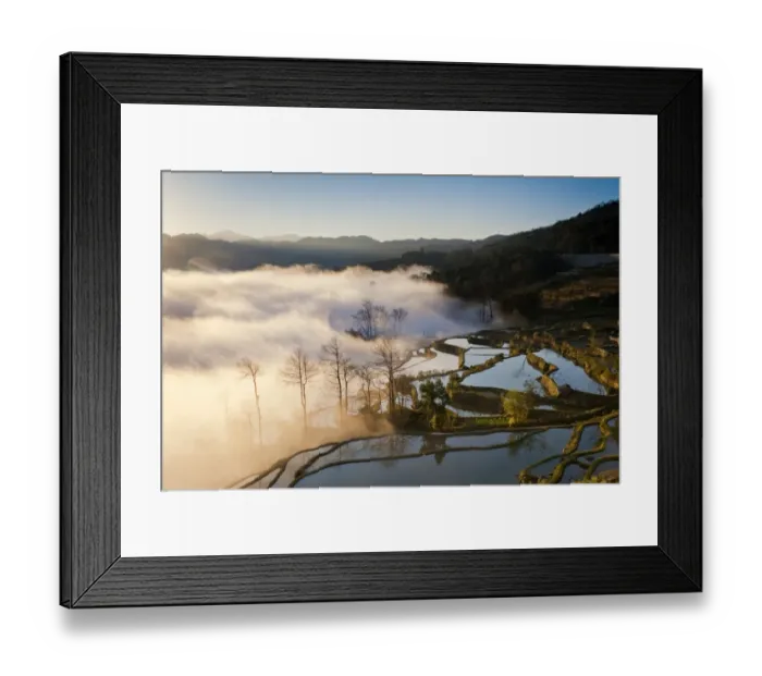 Framed Print : Foggy morning in Yuanyang, China Framed Print : Foggy morning in Yuanyang, China