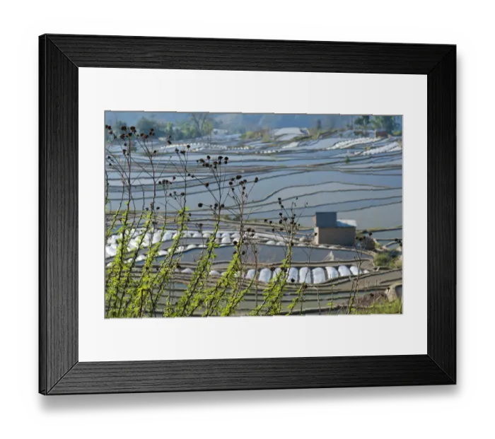 Framed Print : Small hut in Yuanyang Framed Print : Small hut in Yuanyang