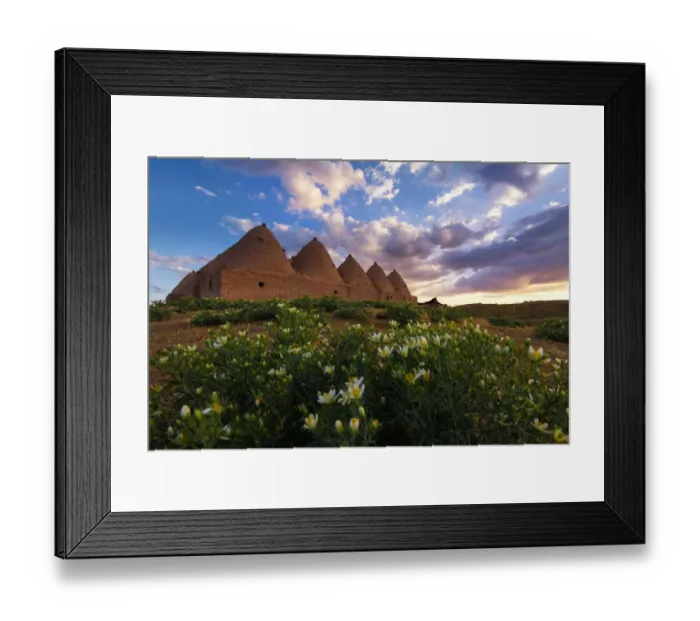 Framed Print : Harran Mud Houses Framed Print : Harran Mud Houses