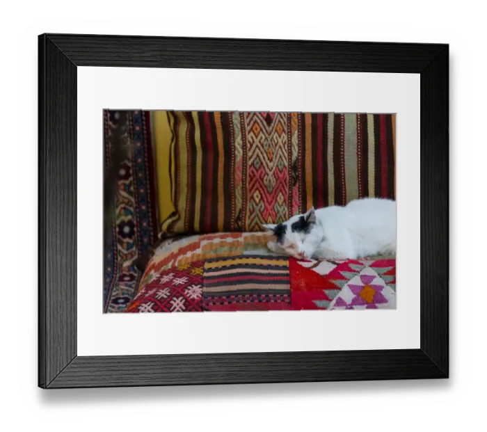 Framed Print : A cat sleeps over turkish carpet Framed Print : A cat sleeps over turkish carpet