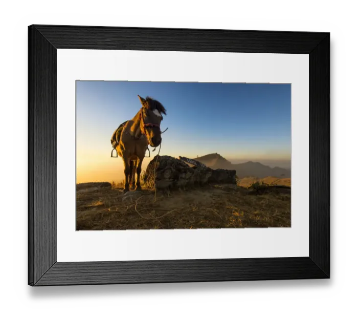 Framed Print : A horse on the hill Framed Print : A horse on the hill