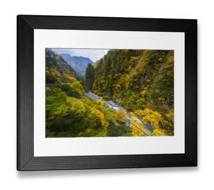 Framed Print : Autumn leaves in Kurobe gorge Framed Print : Autumn leaves in Kurobe gorge