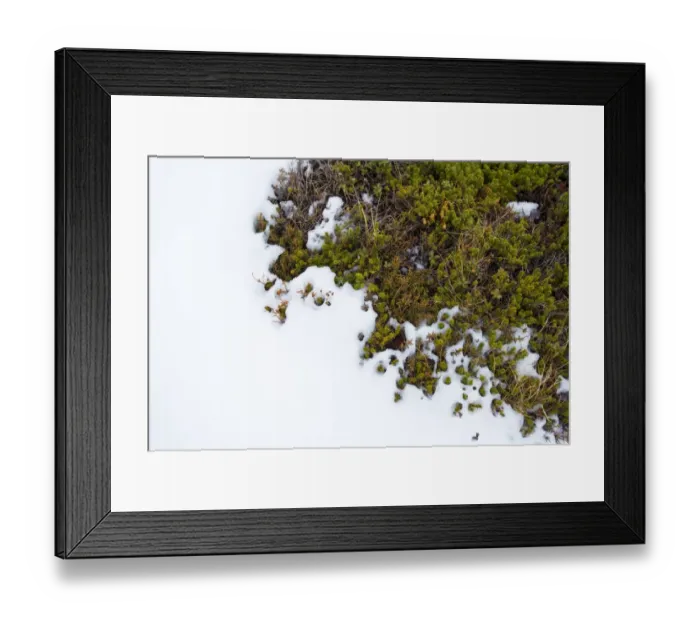Framed Print : Pattern of snow and plants