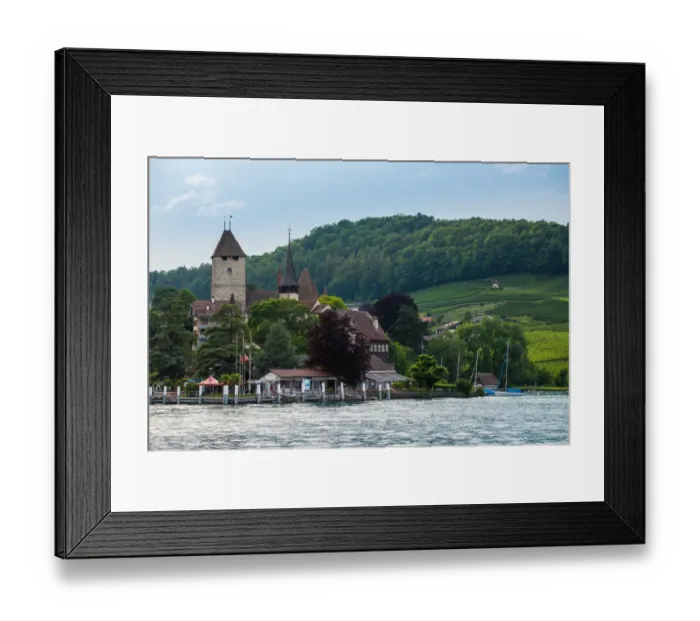 Framed Print : The village and landscape beside lake Thun, Switzer