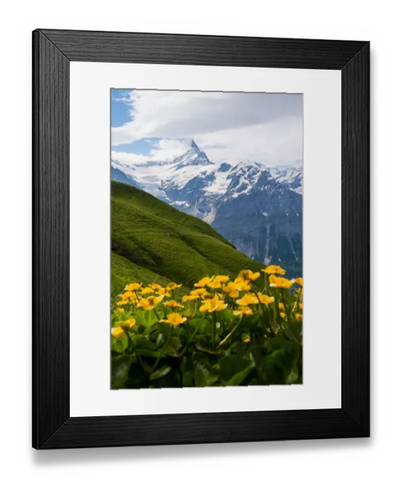 Framed Print : Landscape view of Grindelwald-First hiking route Framed Print : Landscape view of Grindelwald-First hiking route