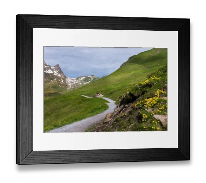 Framed Print : Landscape of the Grindelwald-First hiking route