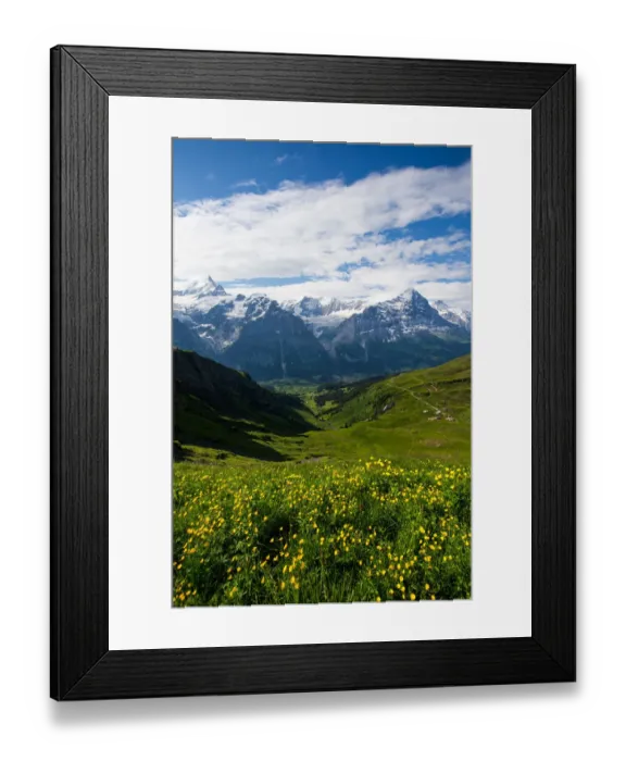 Framed Print : Landscape of the Grindelwald-First hiking route Framed Print : Landscape of the Grindelwald-First hiking route
