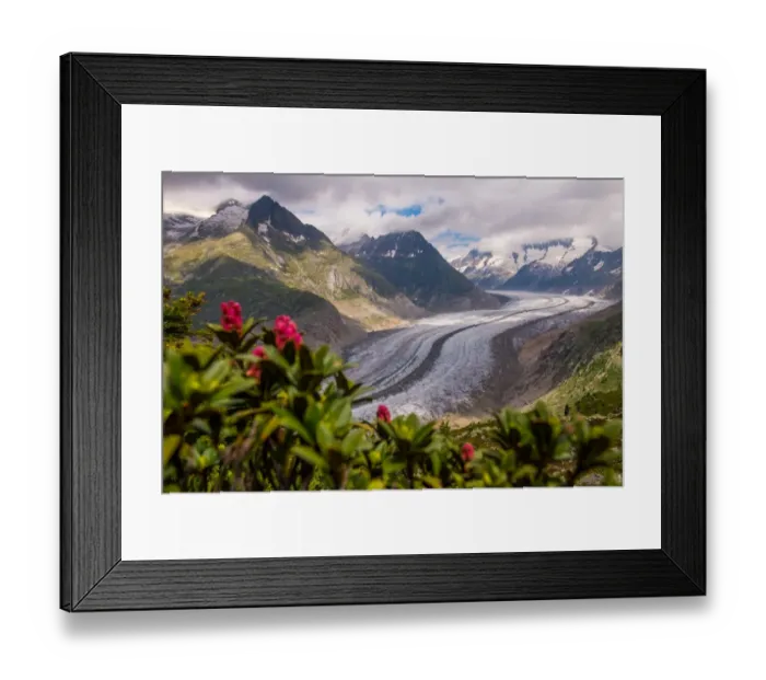 Framed Print : Aletsch Glacier, Switzerland Framed Print : Aletsch Glacier, Switzerland