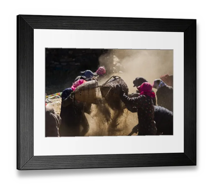 Framed Print : After harvest Framed Print : After harvest