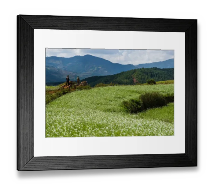 Framed Print : Agriculture in Dongchuan red soil of Yunnan, China Framed Print : Agriculture in Dongchuan red soil of Yunnan, China