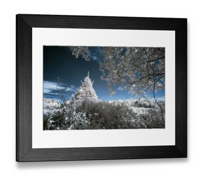 Framed Print : Old ruins of Mrauk-U (Infrared photo)