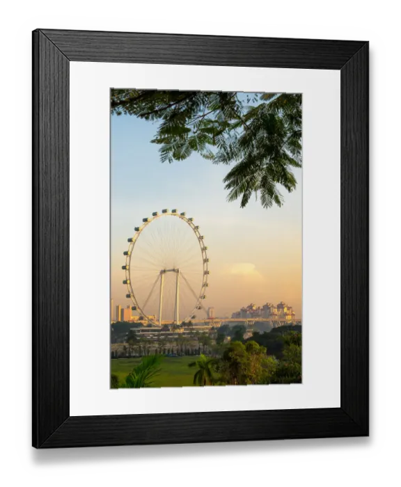 Framed Print : Singapore Flyer Framed Print : Singapore Flyer
