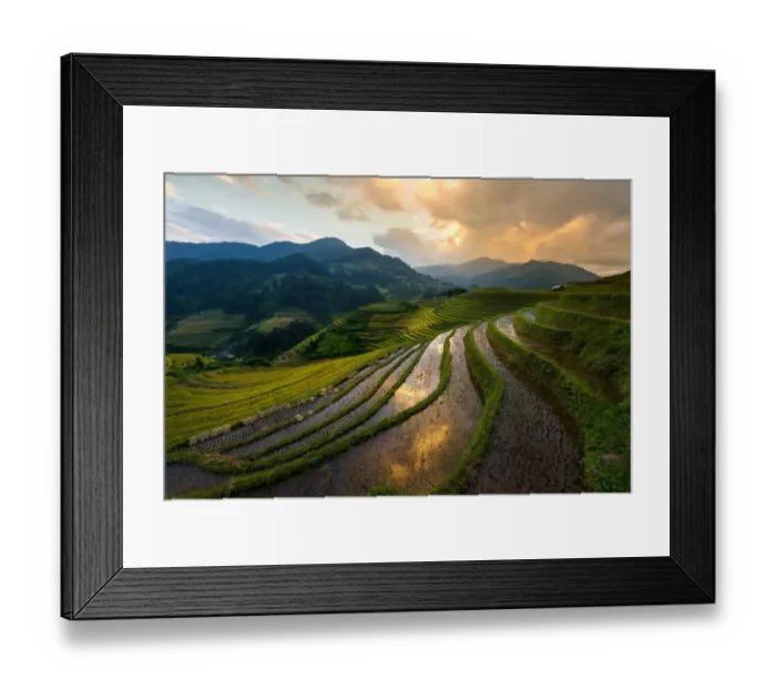 Framed Print : Rice terrace of Mu Cang Chai Framed Print : Rice terrace of Mu Cang Chai