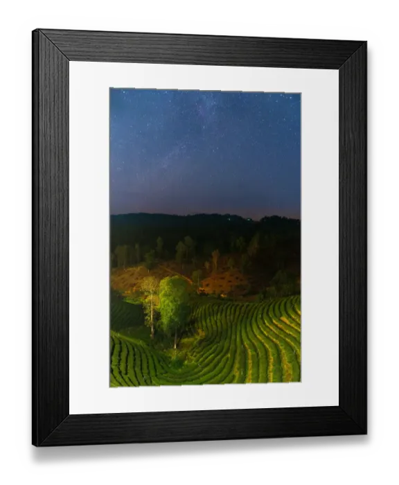 Framed Print : The stars over tea plantation