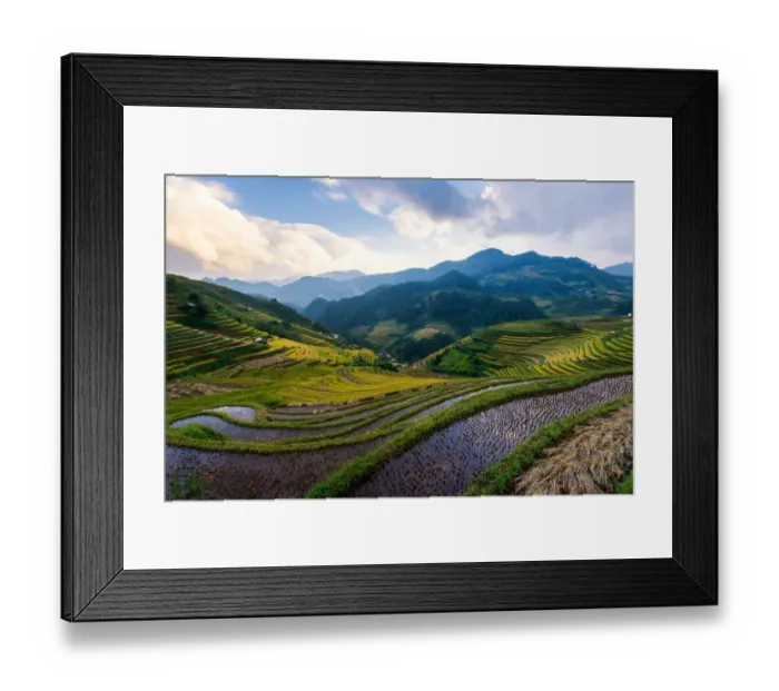 Framed Print : Rice terrace of Mu Cang Chai Framed Print : Rice terrace of Mu Cang Chai