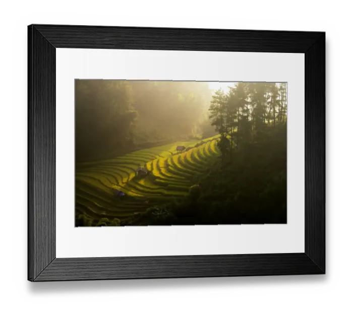 Framed Print : Small cottages and the rice terrace Framed Print : Small cottages and the rice terrace