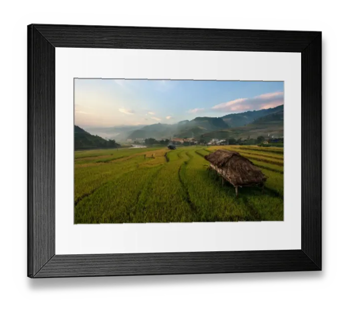 Framed Print : Scenic rice paddy in Vietnam Framed Print : Scenic rice paddy in Vietnam