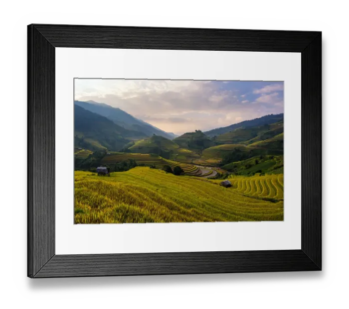 Framed Print : Rice terrace of Mu Cang Chai Framed Print : Rice terrace of Mu Cang Chai