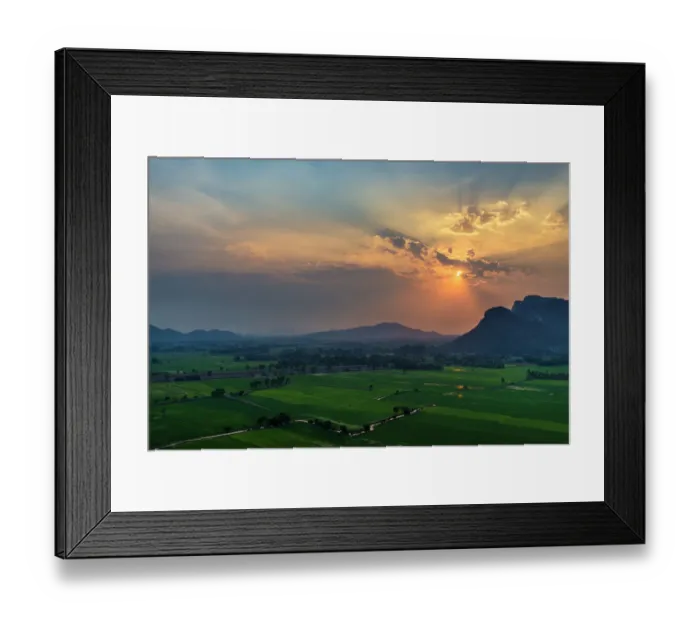 Framed Print : Sunset on the rice paddy Framed Print : Sunset on the rice paddy