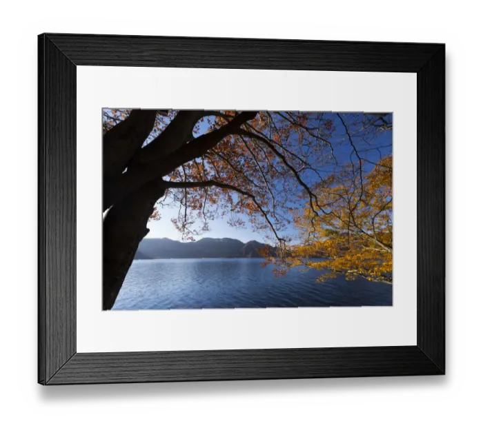 Framed Print : The Colors of Autumn in Nikko Framed Print : The Colors of Autumn in Nikko