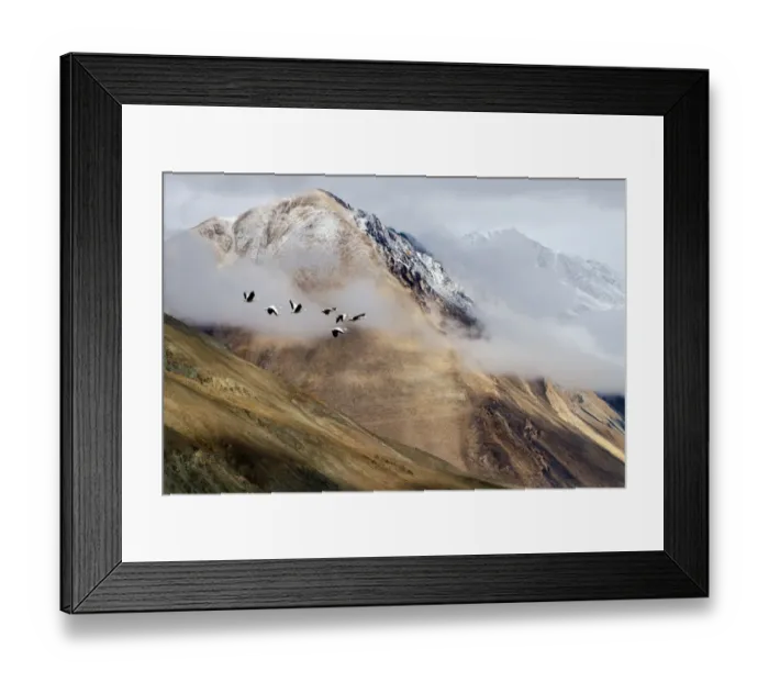 Framed Print : Flock of birds and mountain range Framed Print : Flock of birds and mountain range