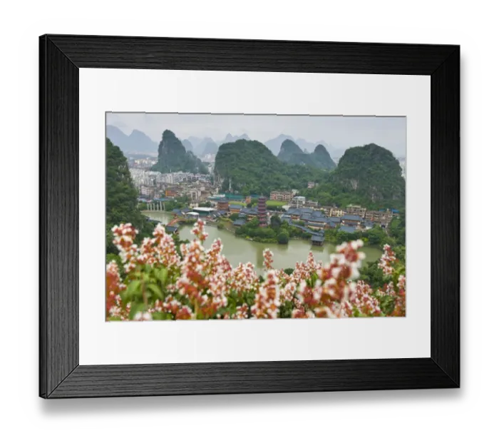 Framed Print : Pagoda flower Framed Print : Pagoda flower