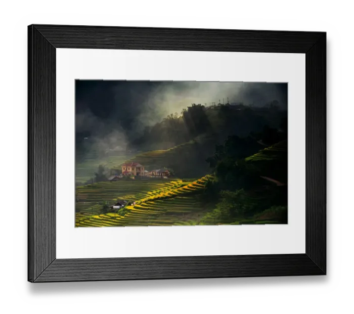 Framed Print : Rice terrace in Sapa Framed Print : Rice terrace in Sapa