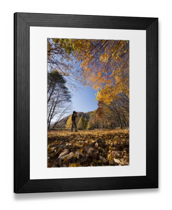 Framed Print : autumn season