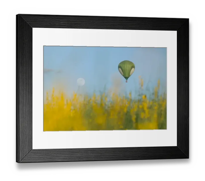 Framed Print : Po Tung bloom and green balloon Framed Print : Po Tung bloom and green balloon