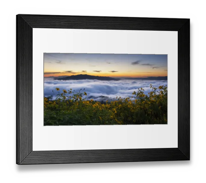 Framed Print : Mexican sunflower field at Doi Hua Mae Kum Framed Print : Mexican sunflower field at Doi Hua Mae Kum