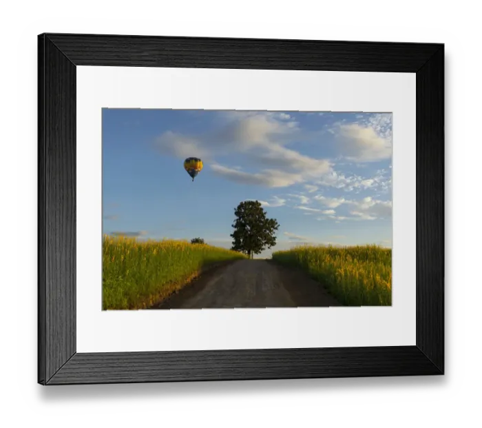 Framed Print : Flying balloon Framed Print : Flying balloon
