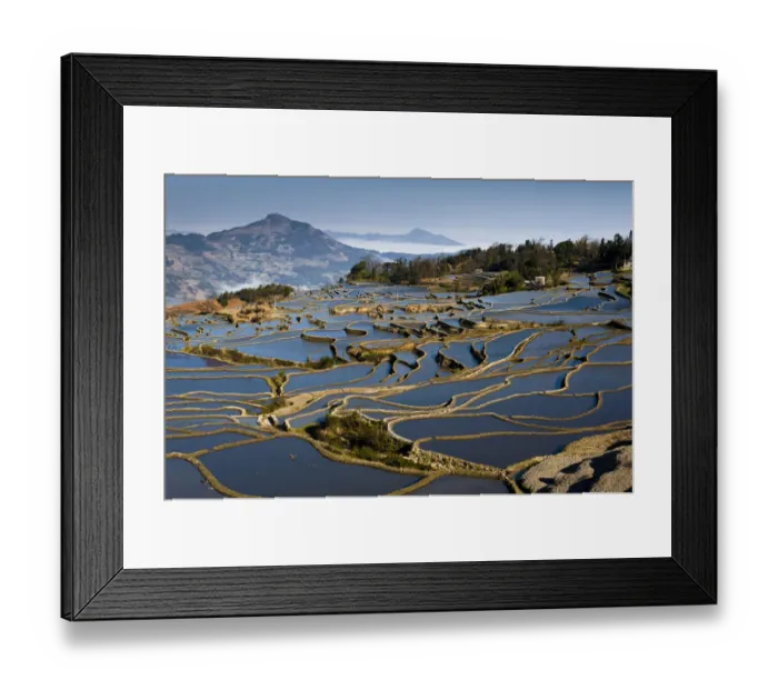 Framed Print : Rice terrace in Yuanyang County Framed Print : Rice terrace in Yuanyang County