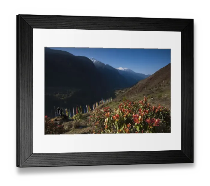 Framed Print : Sikkim in summer season