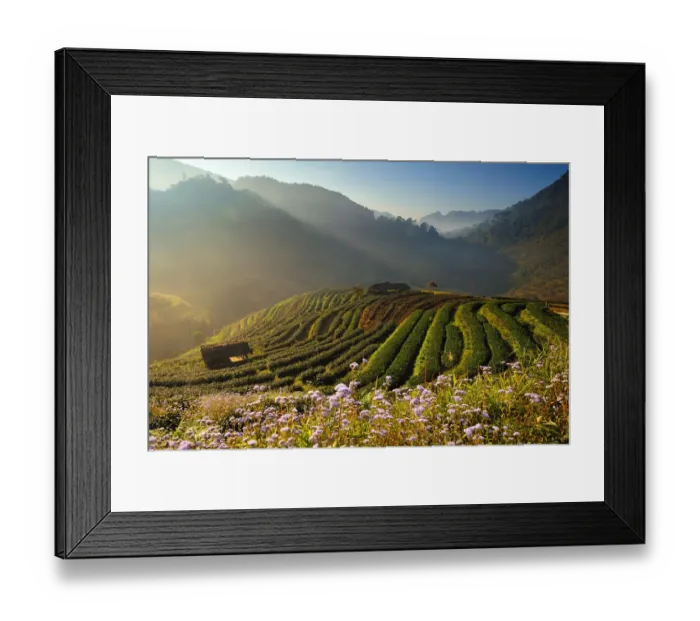 Framed Print : Plantation Framed Print : Plantation