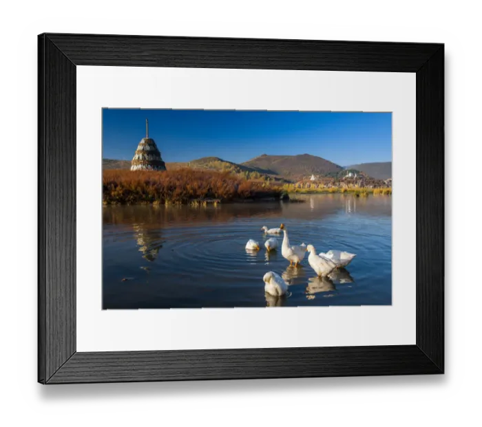 Framed Print : The ducks and Tibetan stupa Framed Print : The ducks and Tibetan stupa