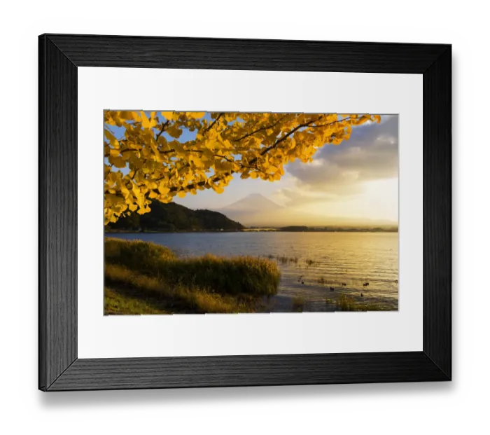 Framed Print : Kawaguchiko lake in autumn season