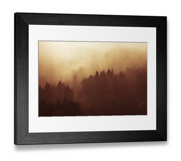 Framed Print : Forest. Tonnaja Travel Photography, 464019171 Framed Print : Forest. Tonnaja Travel Photography, 464019171