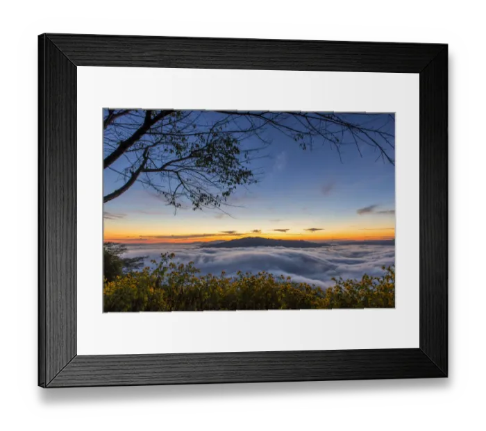 Framed Print : Foggy mountain and Mexican sunflower field Framed Print : Foggy mountain and Mexican sunflower field